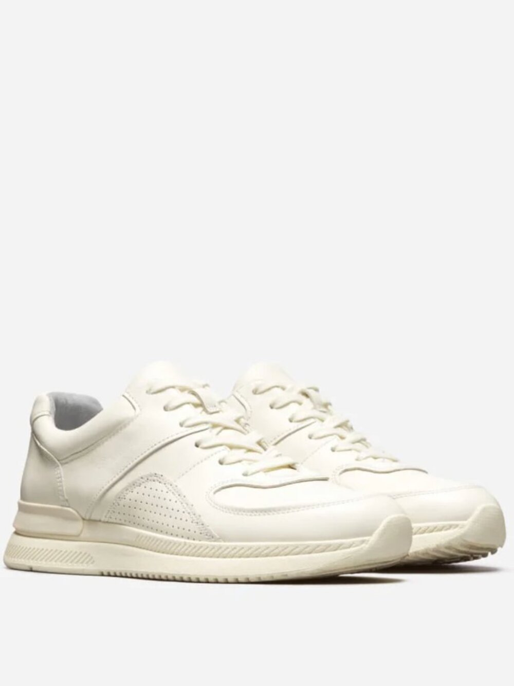 Everlane Leather Sneaker The Trainer